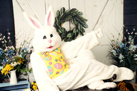 Easter Bunny 3/30/2024